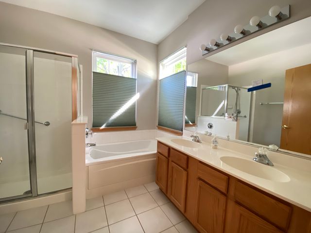 13520 S Buckthorn Lane, Plainfield, IL 60544