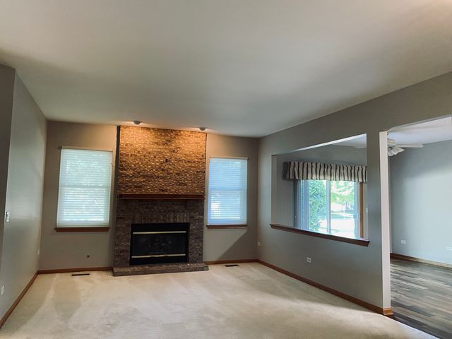 13520 S Buckthorn Lane, Plainfield, IL 60544