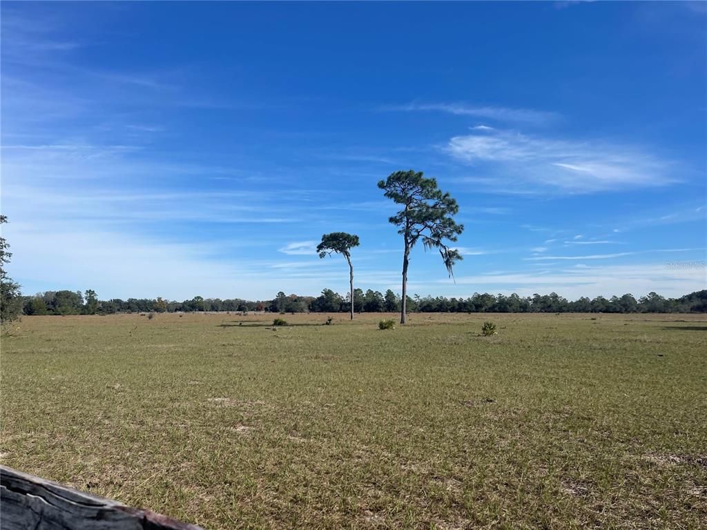 FAIR STREET, Astatula, FL 34705