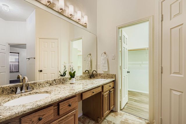 12407 Hawk Creek Drive, Frisco, TX 75033