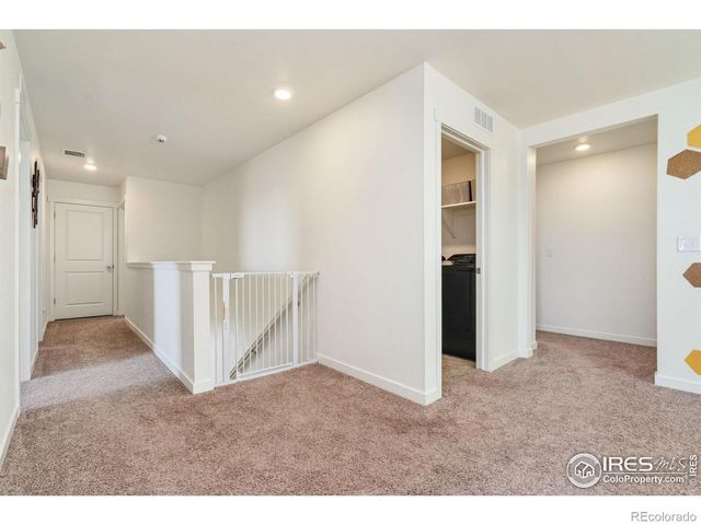 1233 Lily Mountain Road, Severance, CO 80550