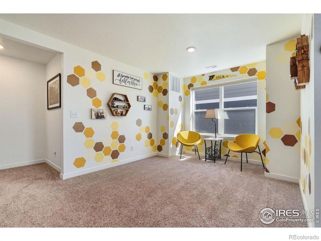 1233 Lily Mountain Road, Severance, CO 80550