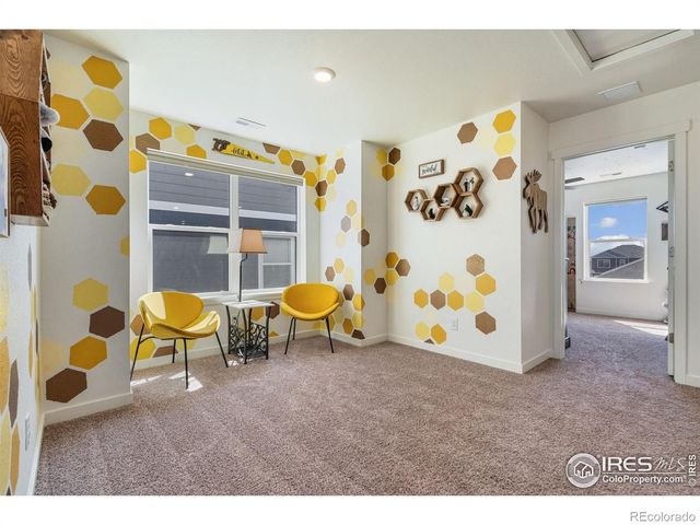 1233 Lily Mountain Road, Severance, CO 80550