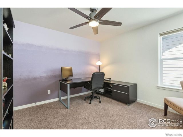 1233 Lily Mountain Road, Severance, CO 80550