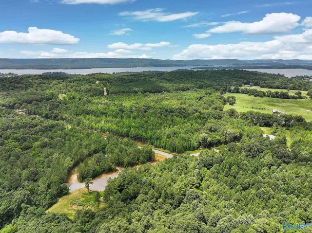 23 Durham Road, Langston, AL 35755