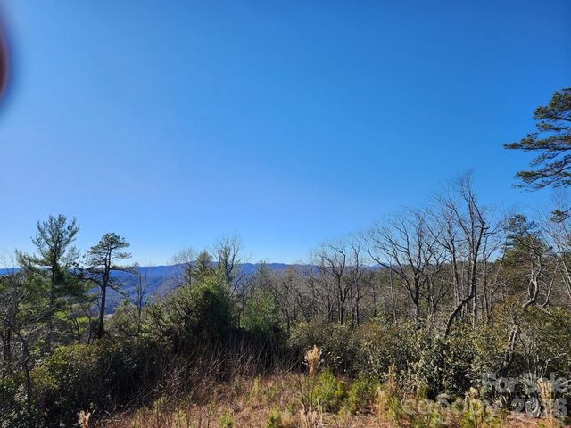 9999 Bulling Creek Road, Penrose, NC 28766