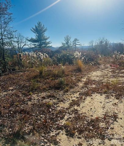 9999 Bulling Creek Road, Penrose, NC 28766