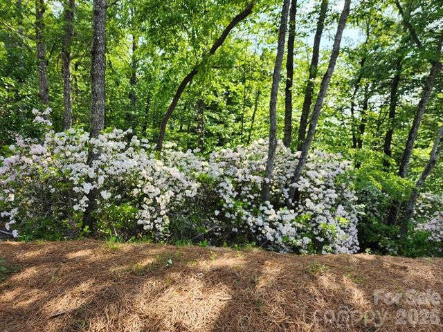 9999 Bulling Creek Road, Penrose, NC 28766