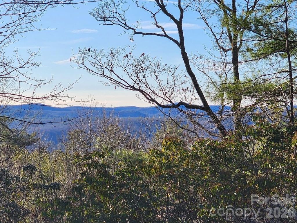 9999 Bulling Creek Road, Penrose, NC 28766