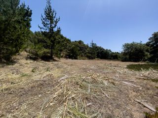 58 Desmond Road, Salinas, CA 93907