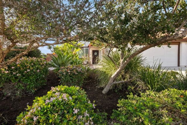 6433 La Paloma St, Carlsbad, CA 92009