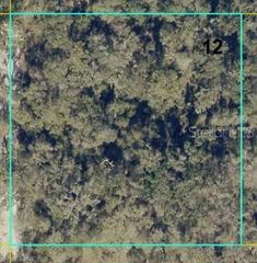 12146 SW 41ST WAY, Webster, FL 33597