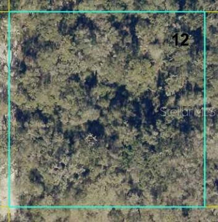 12146 SW 41ST WAY, Webster, FL 33597