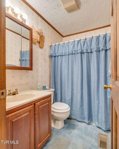 503 Locust Street, Jonesborough, TN 37659