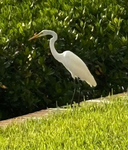 4440 NE Sandpebble Trace 104, Stuart, FL 34996