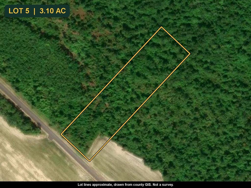 TBD Bellaire Dr., Nichols, SC 29581 — photo 2