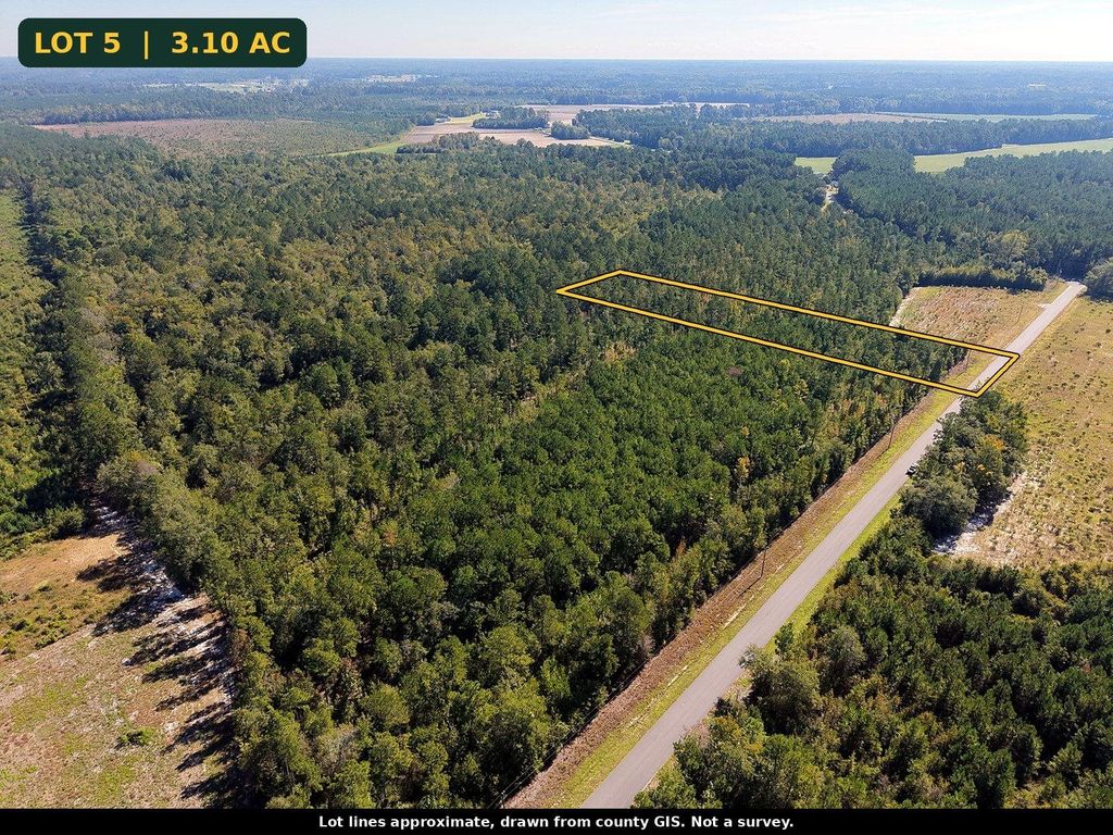 TBD Bellaire Dr., Nichols, SC 29581 — photo 4