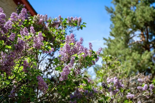 8075 W 32nd Ave, Wheat Ridge, CO 80033