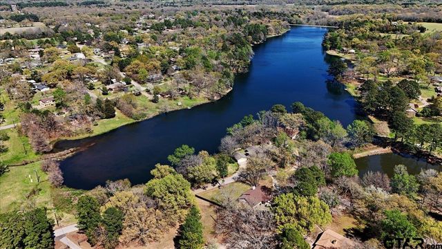 227 county road 2425, Mineola, TX 75773