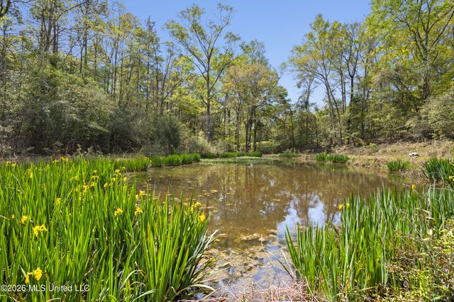 20 Redbird Road, Poplarville, MS 39470