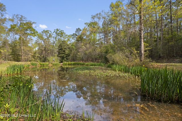 20 Redbird Road, Poplarville, MS 39470