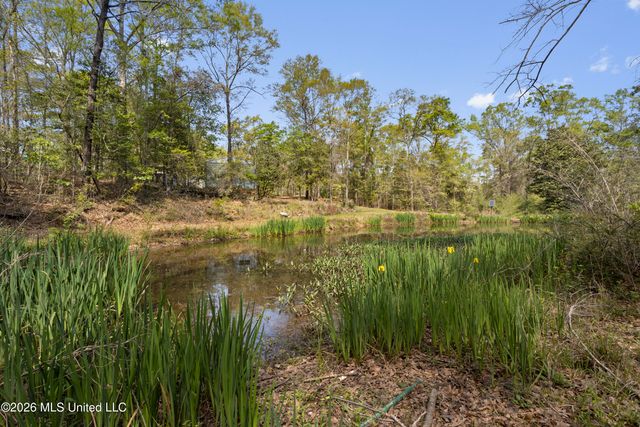 20 Redbird Road, Poplarville, MS 39470