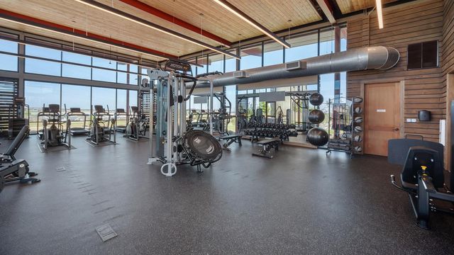9501 Buckstitch Saddle DR, Austin, TX 78653