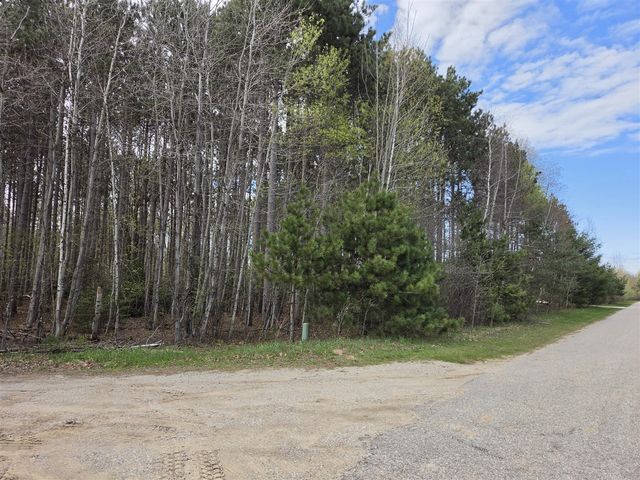 891 N White Birch Drive, Ludington, MI 49431