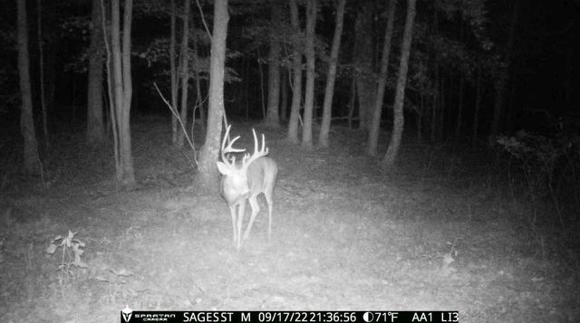 2423 9th Drive, Adams, WI 53910