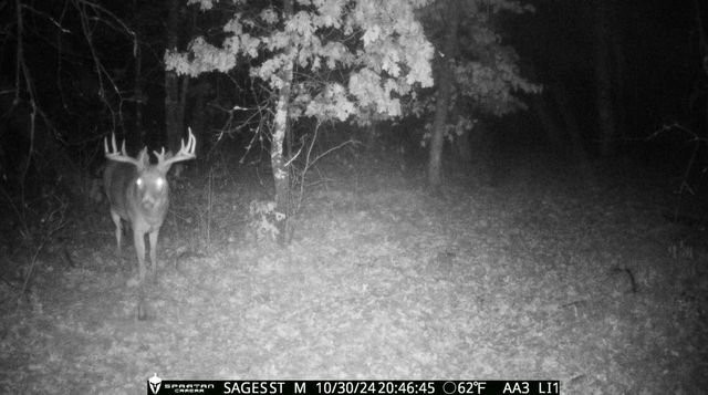 2423 9th Drive, Adams, WI 53910