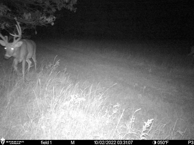 2423 9th Drive, Adams, WI 53910