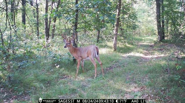 2423 9th Drive, Adams, WI 53910