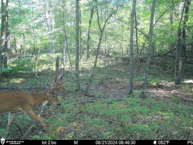 2423 9th Drive, Adams, WI 53910