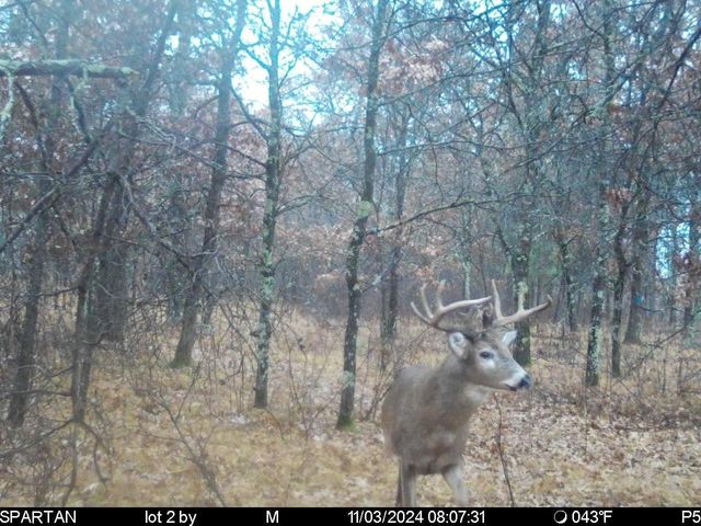 2423 9th Drive, Adams, WI 53910