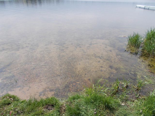 2995 Maple Road, Hale, MI 48739