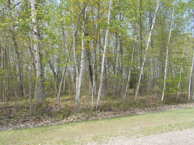 2995 Maple Road, Hale, MI 48739