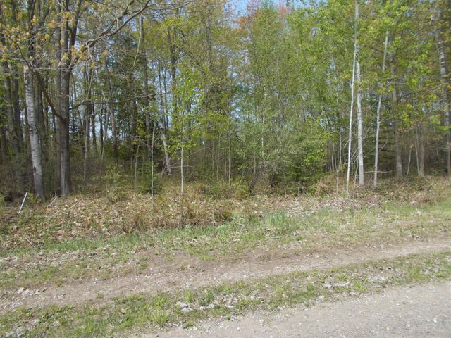 2995 Maple Road, Hale, MI 48739