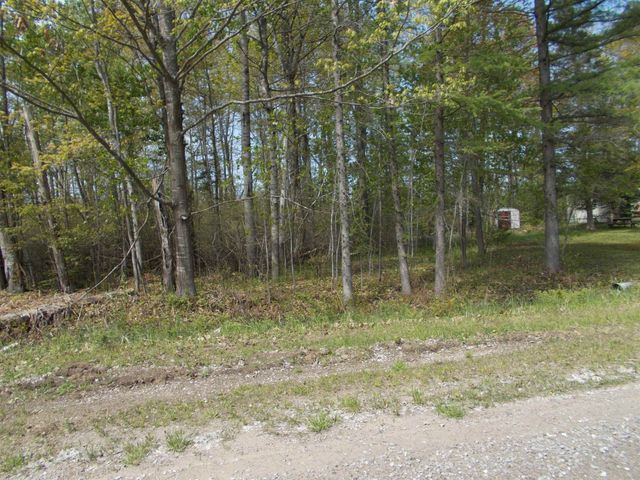 2995 Maple Road, Hale, MI 48739