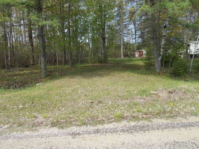 2995 Maple Road, Hale, MI 48739