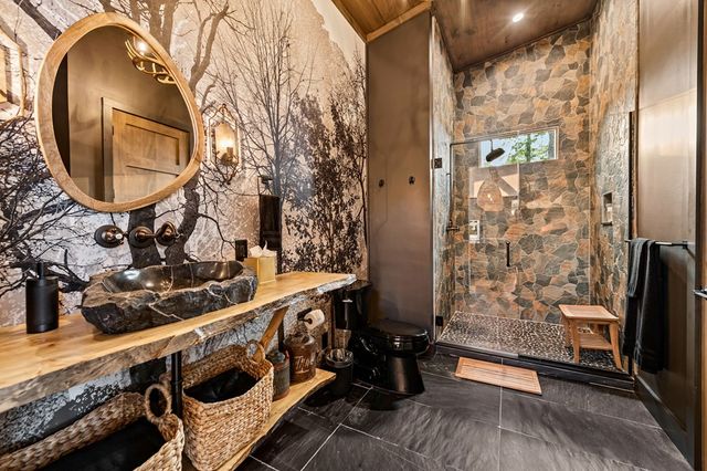 61 Ripshin Heights, Blue Ridge, GA 30513