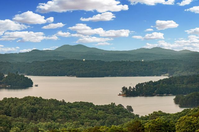 61 Ripshin Heights, Blue Ridge, GA 30513