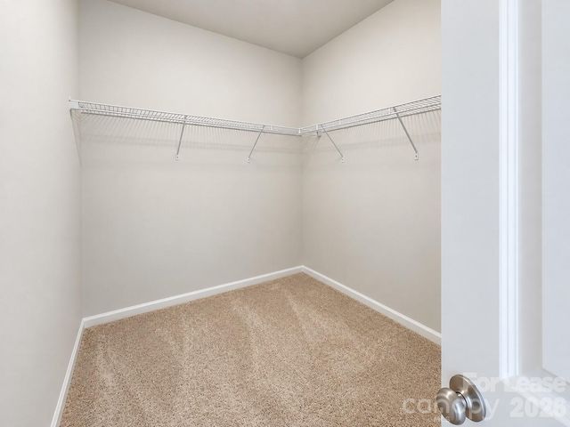 6514 Harlech Street, Charlotte, NC 28269