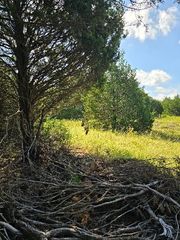3694 County Road 1103, Celeste, TX 75423