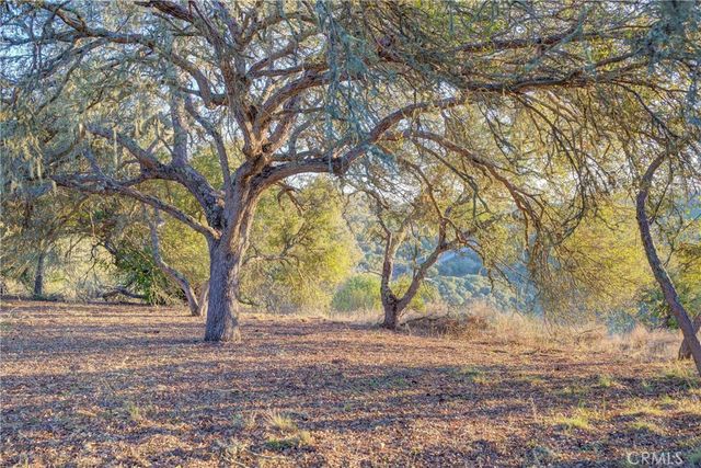 11315 Nacimiento Lake Drive, Bradley, CA 93426