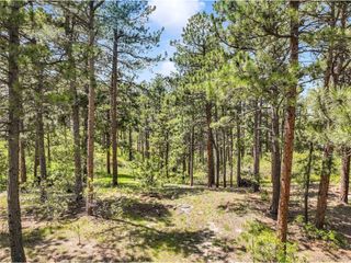 1180 Lone Scout Lookout, Monument, CO 80132