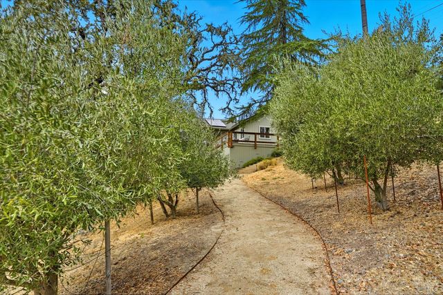 31000 Pine Mountain Rd, Cloverdale, CA 95425