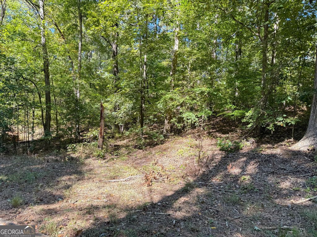 0 (Barrington Subd) 16 Approved LOTS READY TO BUILD, Covington, GA 30016 — exterior