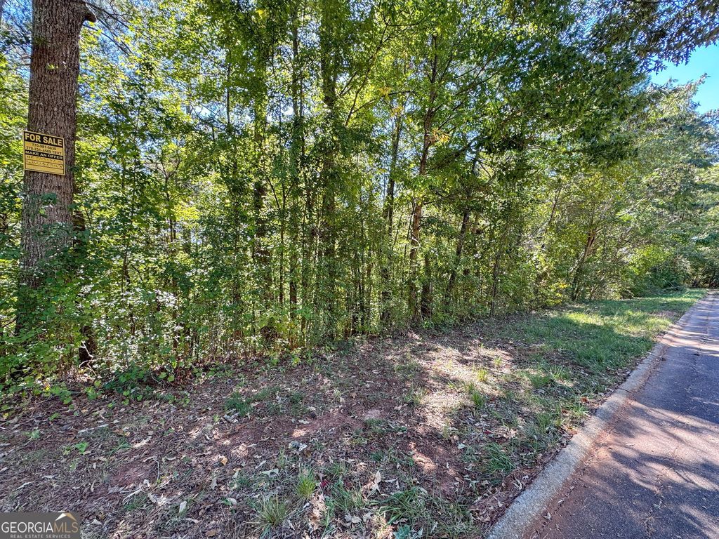 0 (Barrington Subd) 16 Approved LOTS READY TO BUILD, Covington, GA 30016 — photo 3