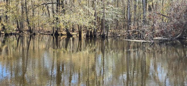 415 Locust Tree Ct., Gresham, SC 29546