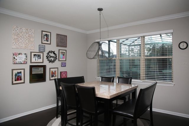 18783 BIRCHWOOD GROVES DRIVE, Lutz, FL 33558